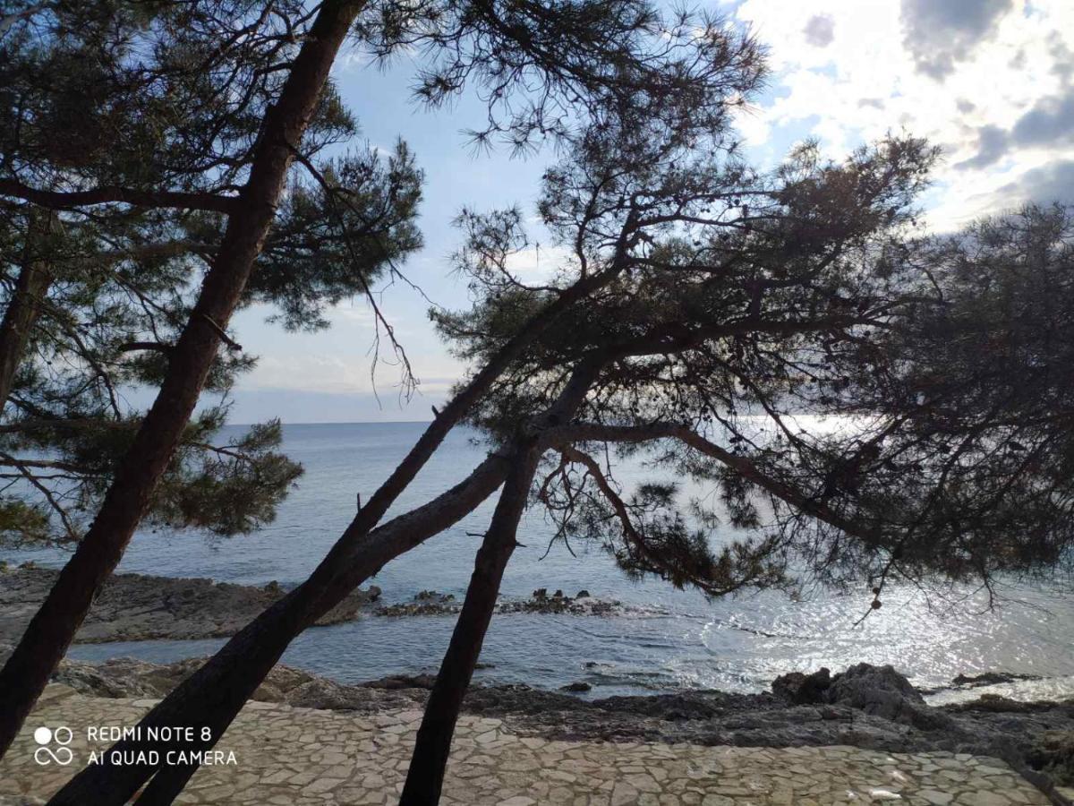 Apartments Marlen Mali Lošinj Eksteriør billede